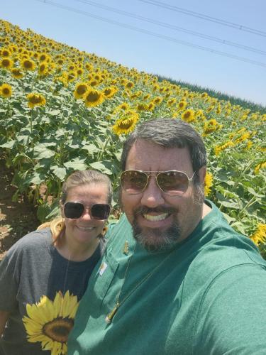 Sunflowers everywhere