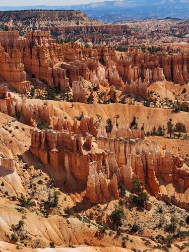 Bryce